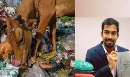 网红吃老汉瓜是谁发明的,揭秘创新美食背后的传奇发明者